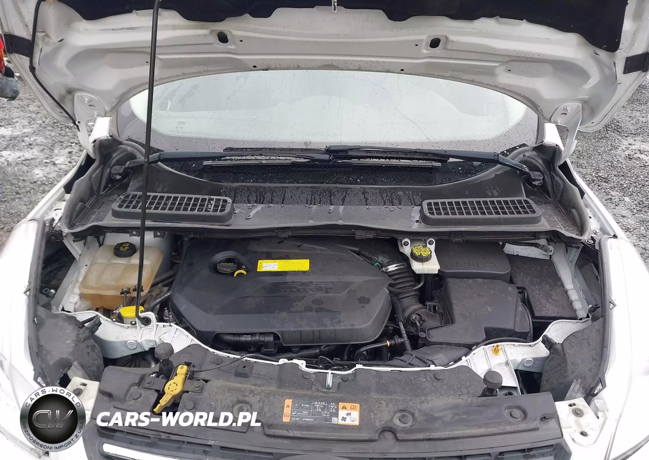 2015 Ford Escape Se VIN:1FMCU0GX1FUC89830 - 10
