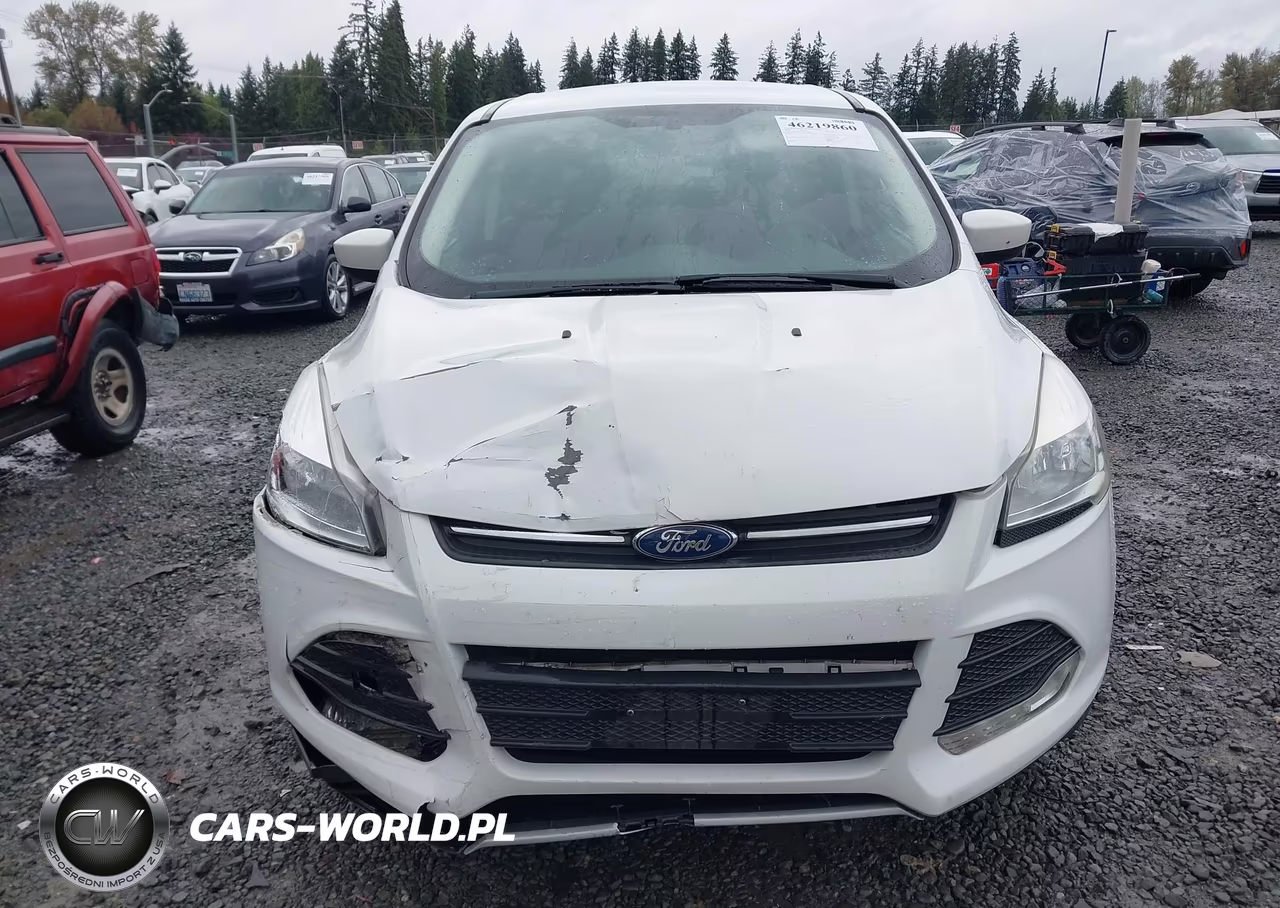 2015 Ford Escape Se VIN:1FMCU0GX1FUC89830 - 12