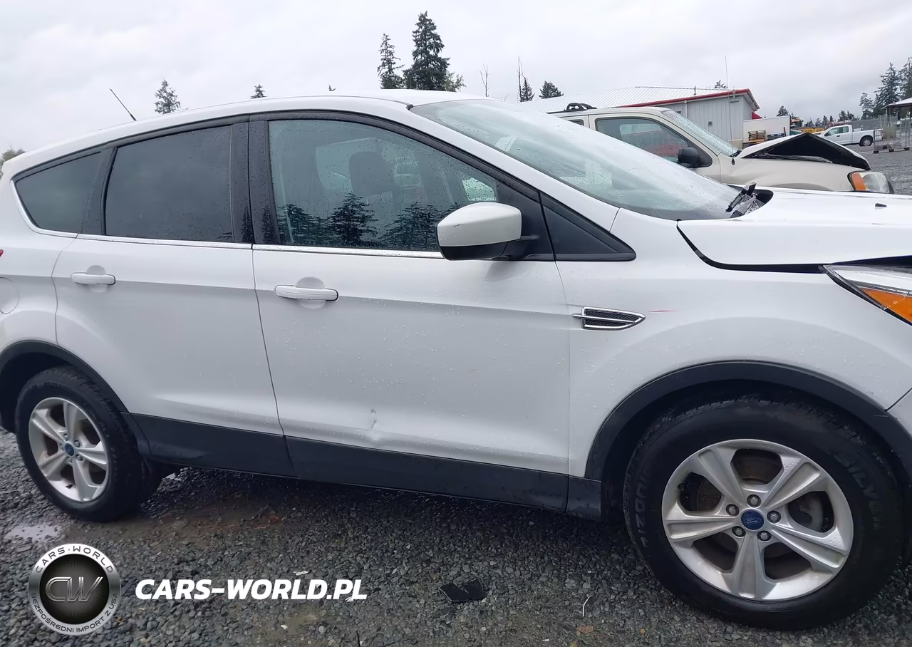 2015 Ford Escape Se VIN:1FMCU0GX1FUC89830 - 13
