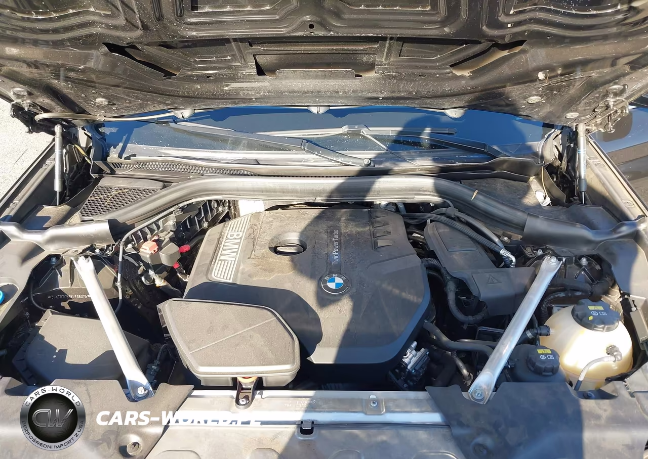 2019 BMW X3 Sdrive30I VIN:5UXTR7C56KLF36375 - 10