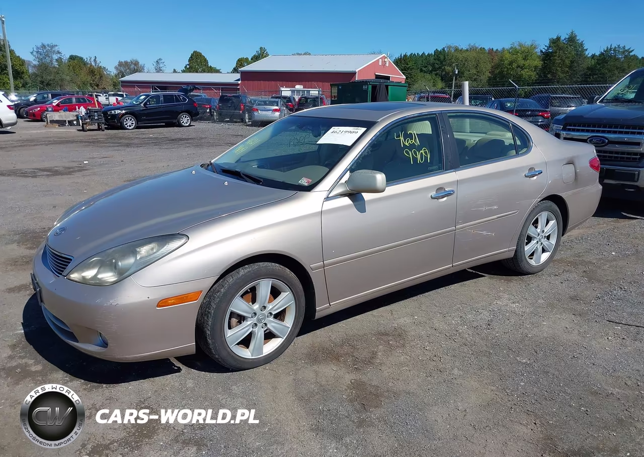 2005 Lexus Es 330 VIN:JTHBA30G055094555 - 2