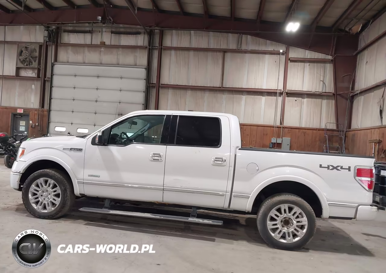 2011 Ford F-150 Platinum VIN:1FTFW1ET3BFA90584 - 14