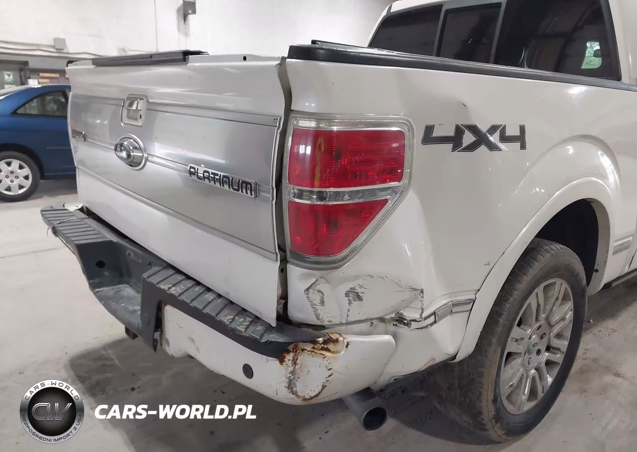 2011 Ford F-150 Platinum VIN:1FTFW1ET3BFA90584 - 18