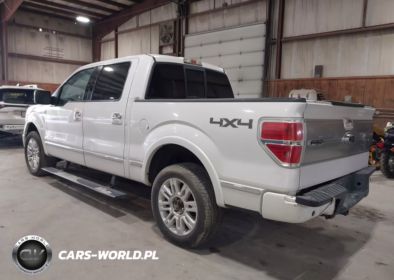 2011 Ford F-150 Platinum VIN:1FTFW1ET3BFA90584 - 3
