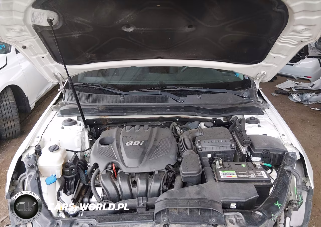 2015 Kia Optima Lx VIN:KNAGM4A78F5640410 - 10