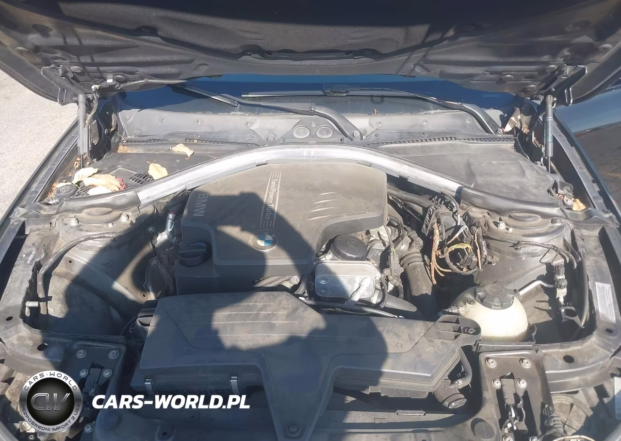 2013 BMW 320I VIN:WBA3B1C57DF462592 - 10