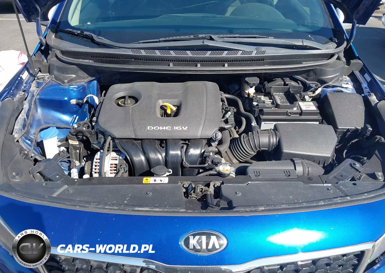 2018 Kia Forte Lx VIN:3KPFK4A79JE260106 - 10