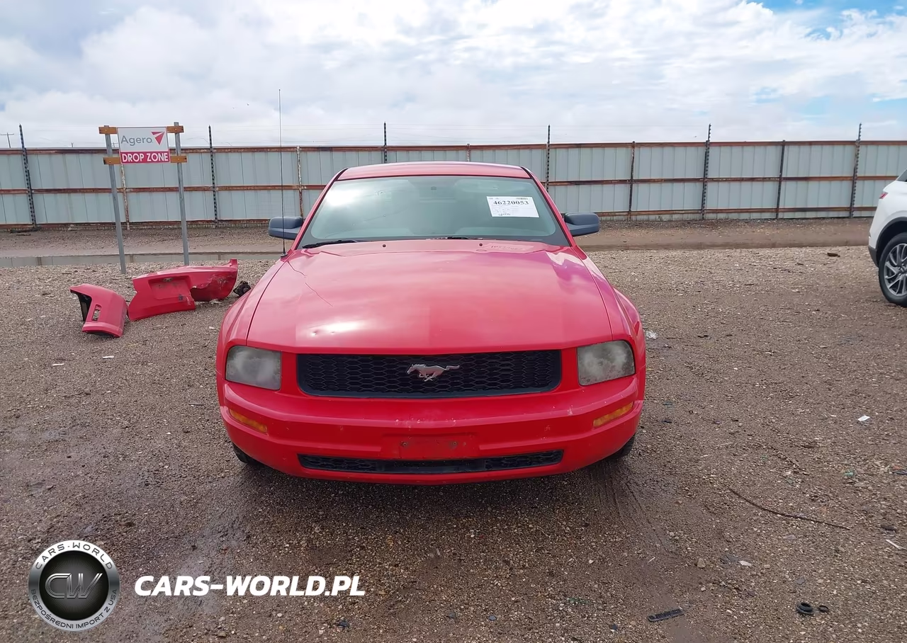 2005 Ford Mustang V6 Deluxe-V6 Premium VIN:1ZVFT80N655134756 - 13
