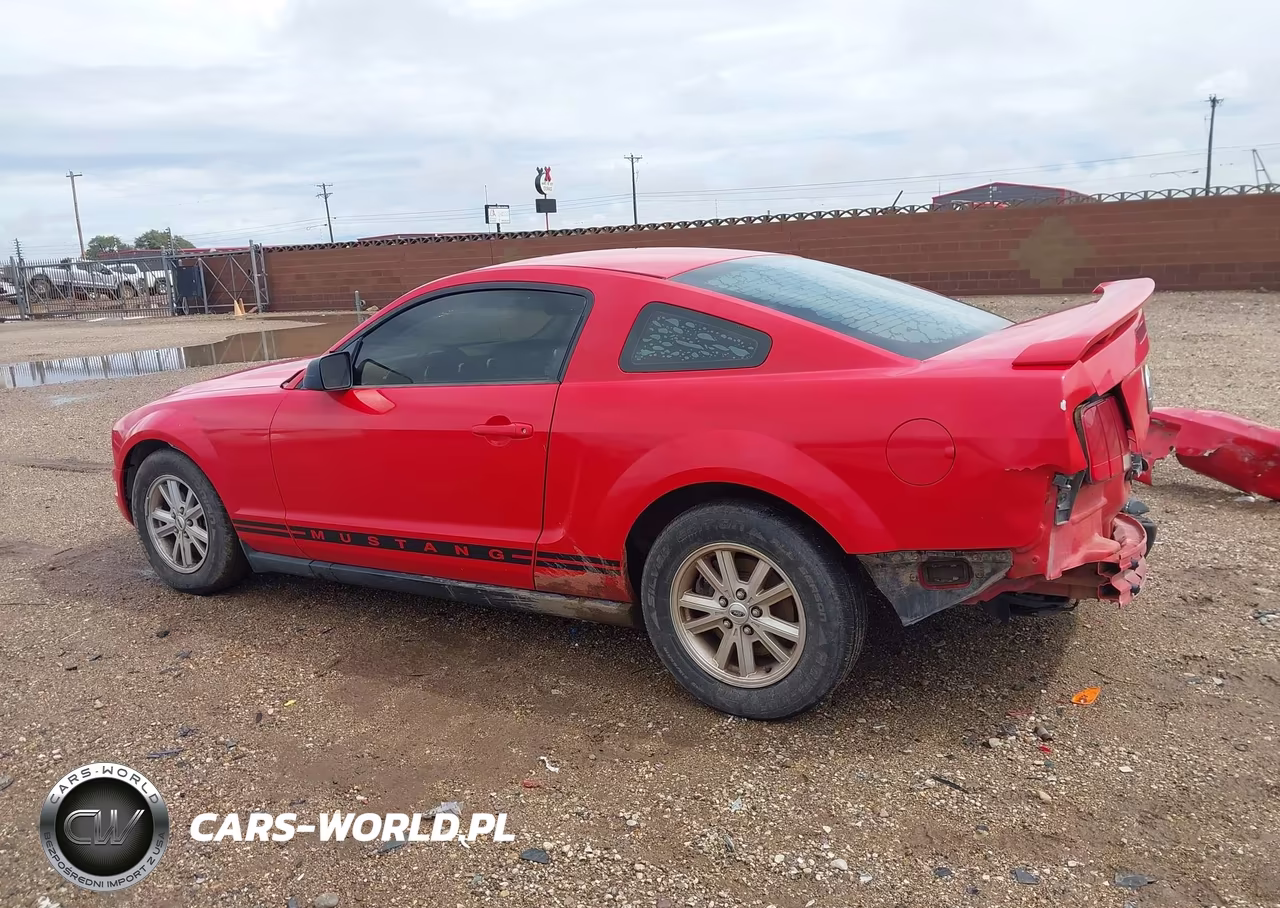2005 Ford Mustang V6 Deluxe-V6 Premium VIN:1ZVFT80N655134756 - 15