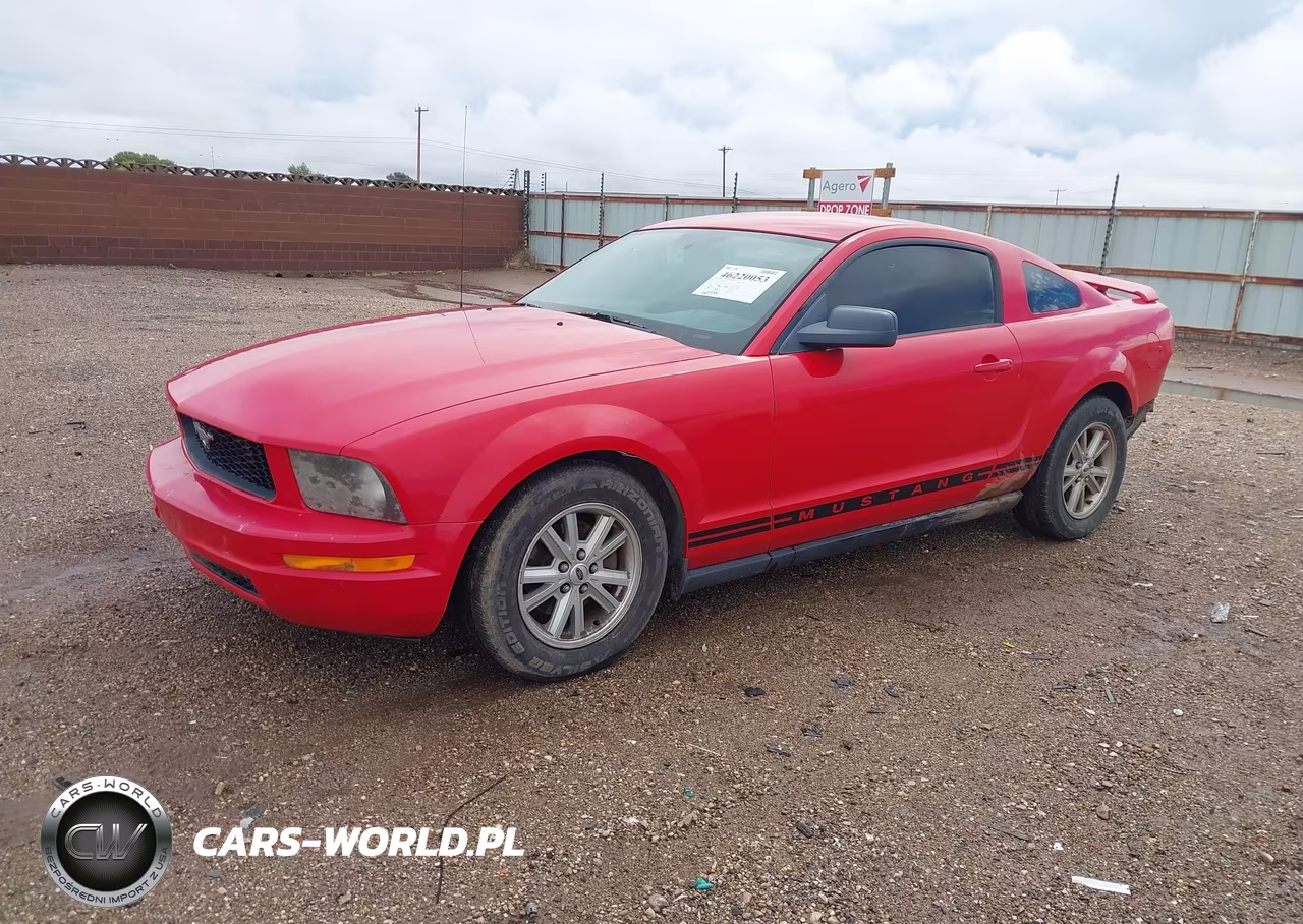 2005 Ford Mustang V6 Deluxe-V6 Premium VIN:1ZVFT80N655134756 - 2