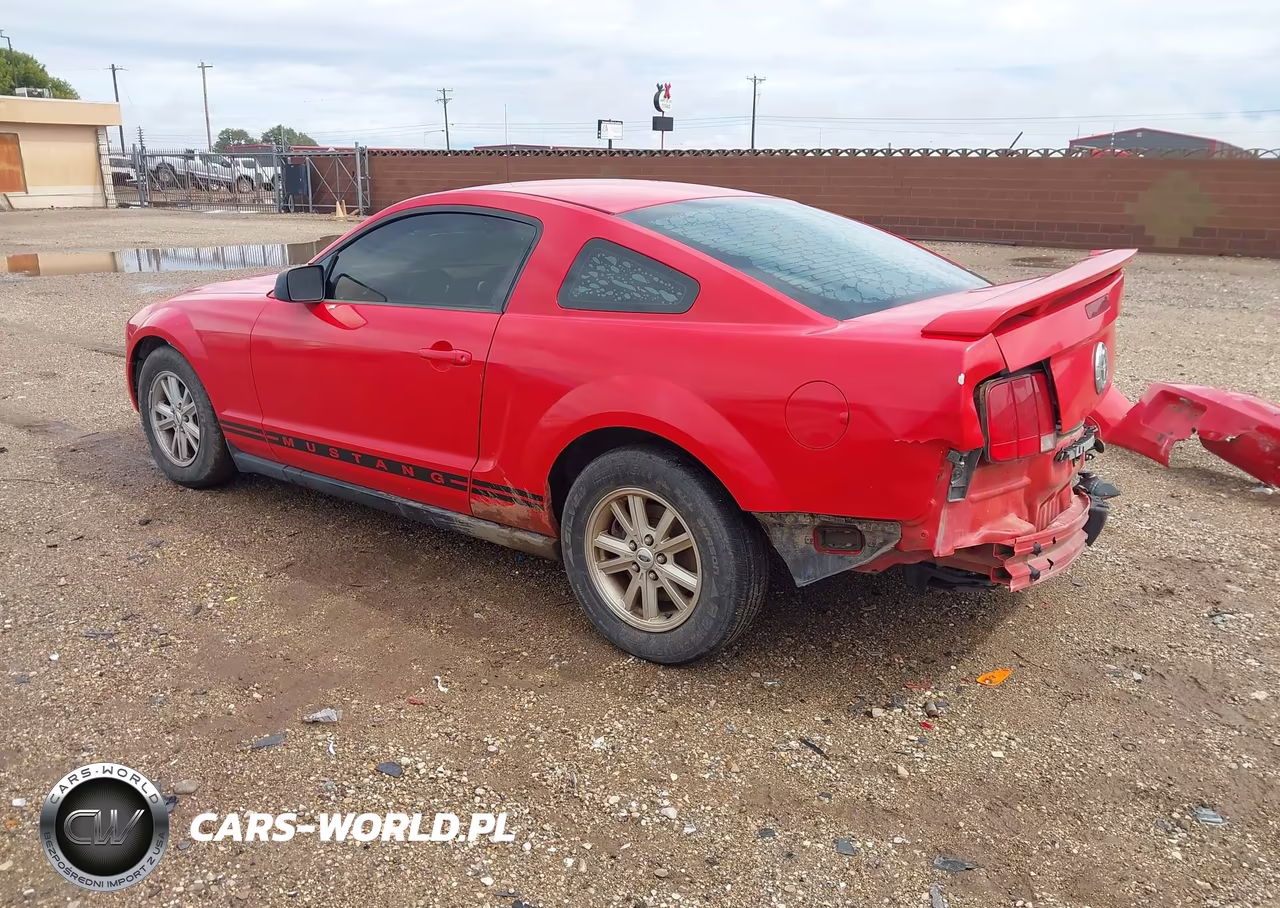 2005 Ford Mustang V6 Deluxe-V6 Premium VIN:1ZVFT80N655134756 - 3