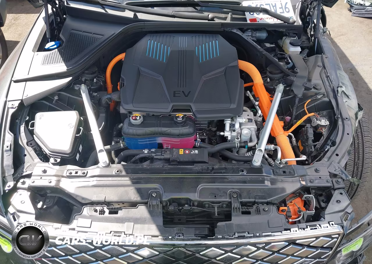 2023 Genesis Electrified G80 VIN:KMTGE4S14PU002724 - 10