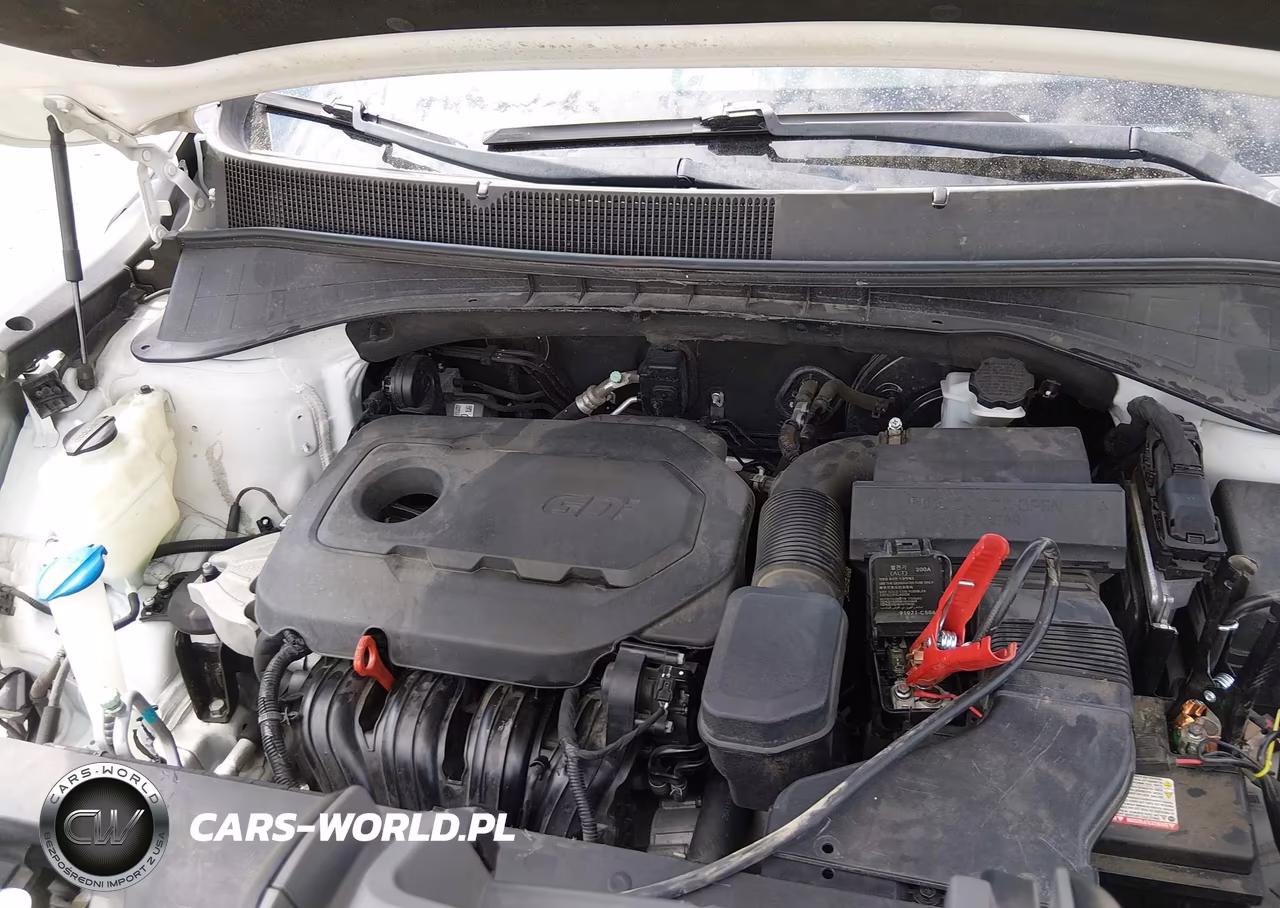 2017 Kia Sorento 2.4L Lx VIN:5XYPG4A34HG266850 - 10