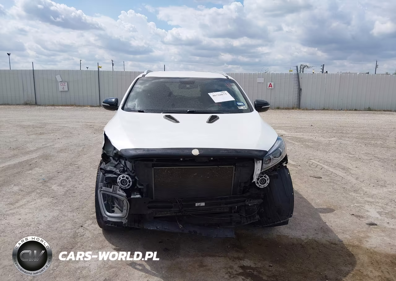 2017 Kia Sorento 2.4L Lx VIN:5XYPG4A34HG266850 - 13