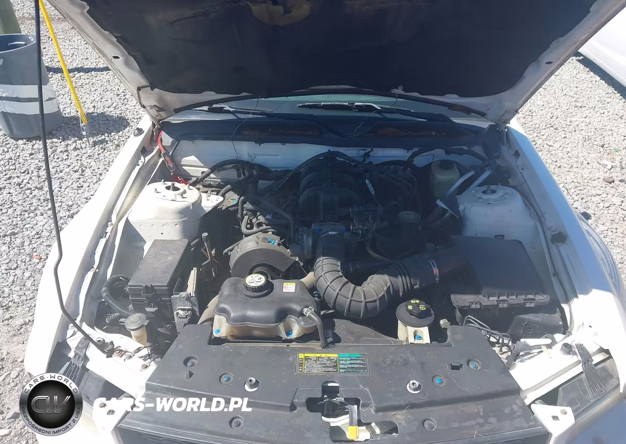 2005 Ford Mustang V6 Deluxe-V6 Premium VIN:1ZVFT80N555137177 - 10