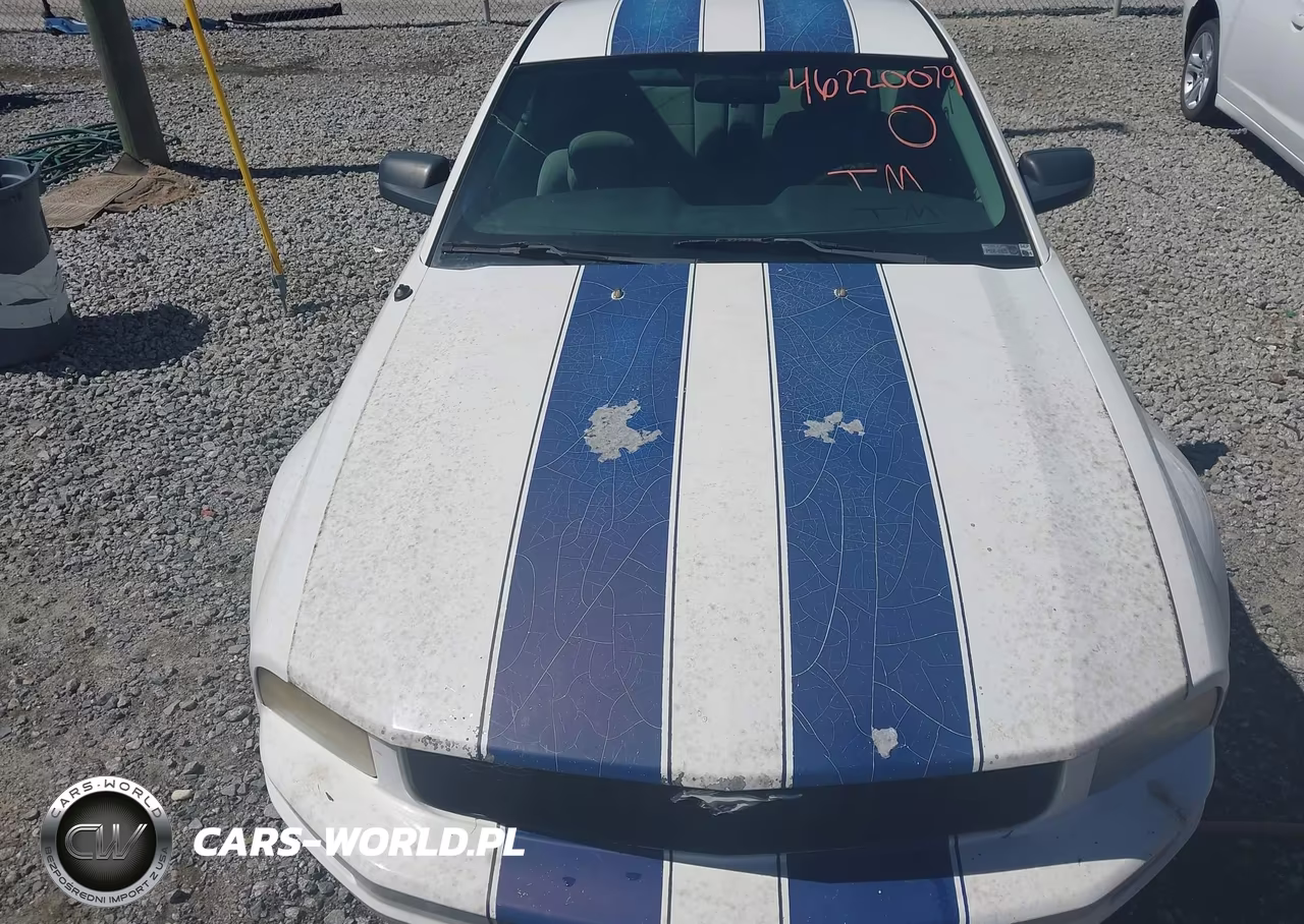 2005 Ford Mustang V6 Deluxe-V6 Premium VIN:1ZVFT80N555137177 - 12