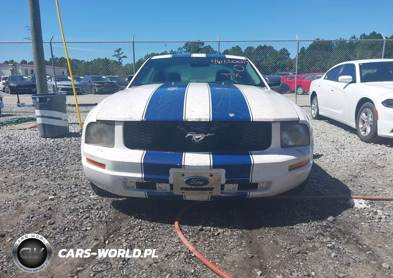 2005 Ford Mustang V6 Deluxe-V6 Premium VIN:1ZVFT80N555137177 - 13