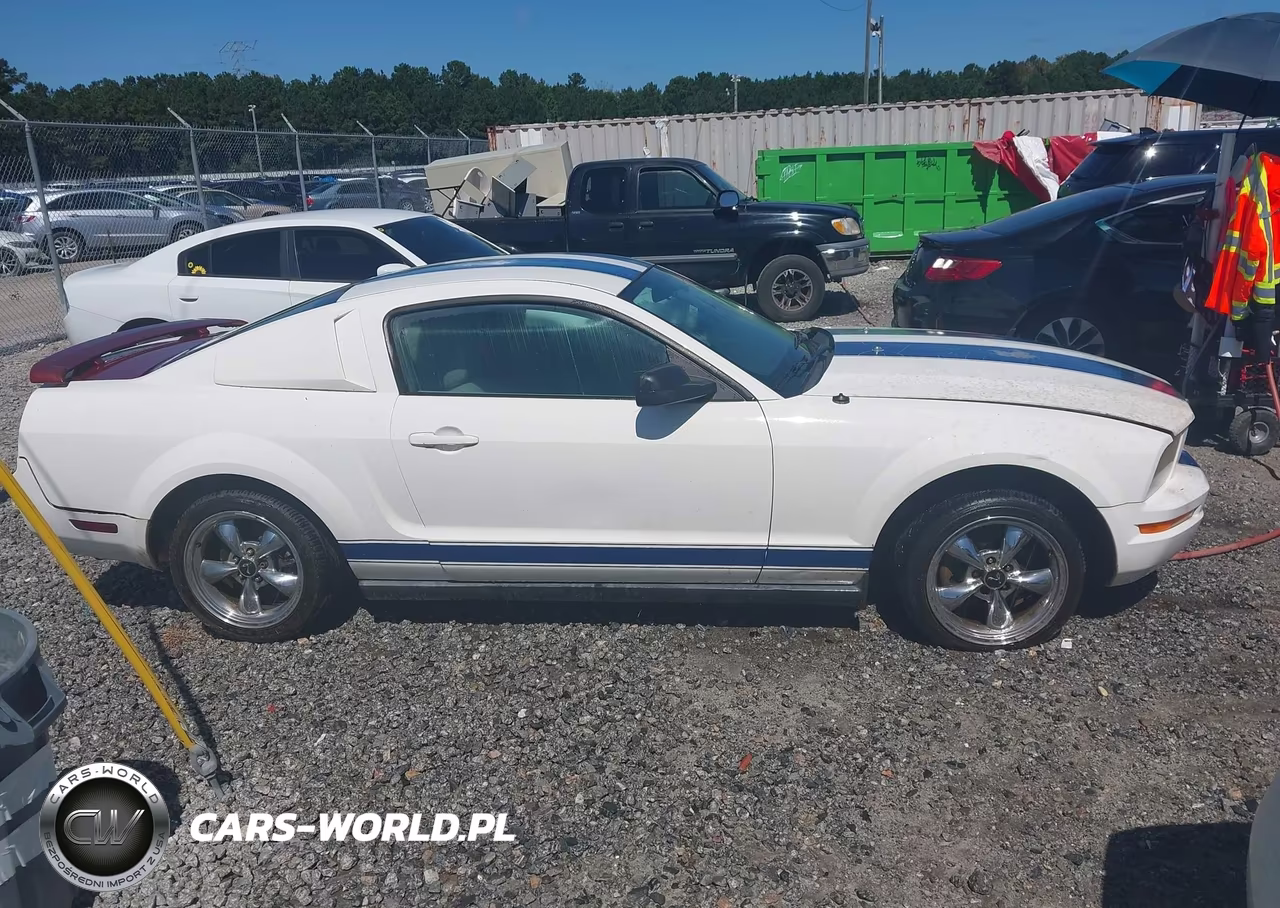 2005 Ford Mustang V6 Deluxe-V6 Premium VIN:1ZVFT80N555137177 - 14