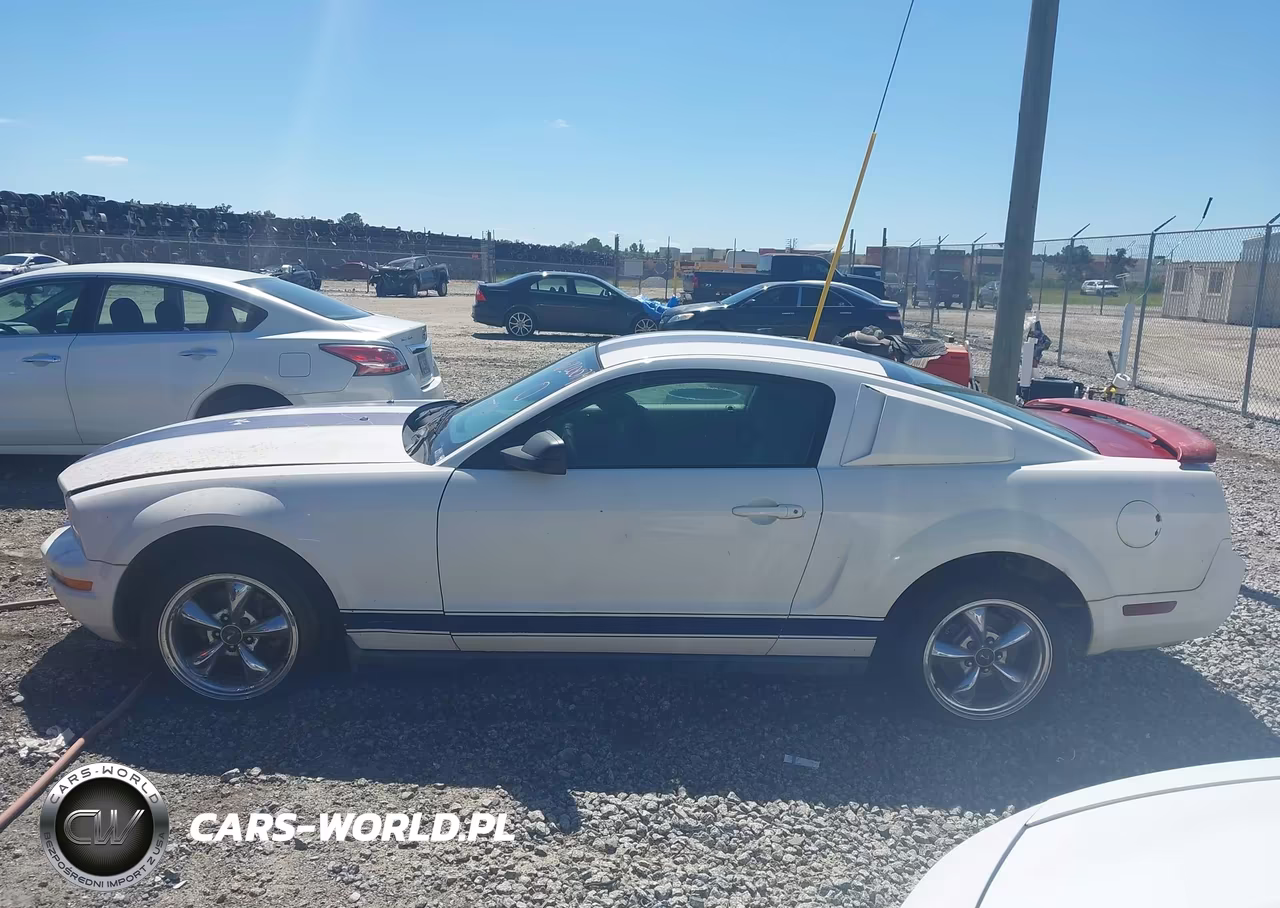 2005 Ford Mustang V6 Deluxe-V6 Premium VIN:1ZVFT80N555137177 - 15