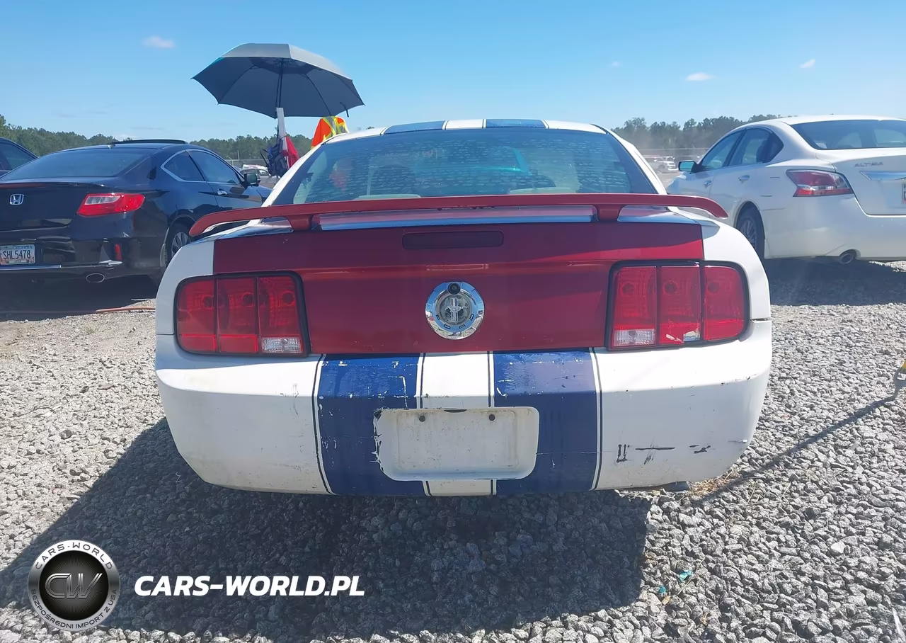 2005 Ford Mustang V6 Deluxe-V6 Premium VIN:1ZVFT80N555137177 - 17