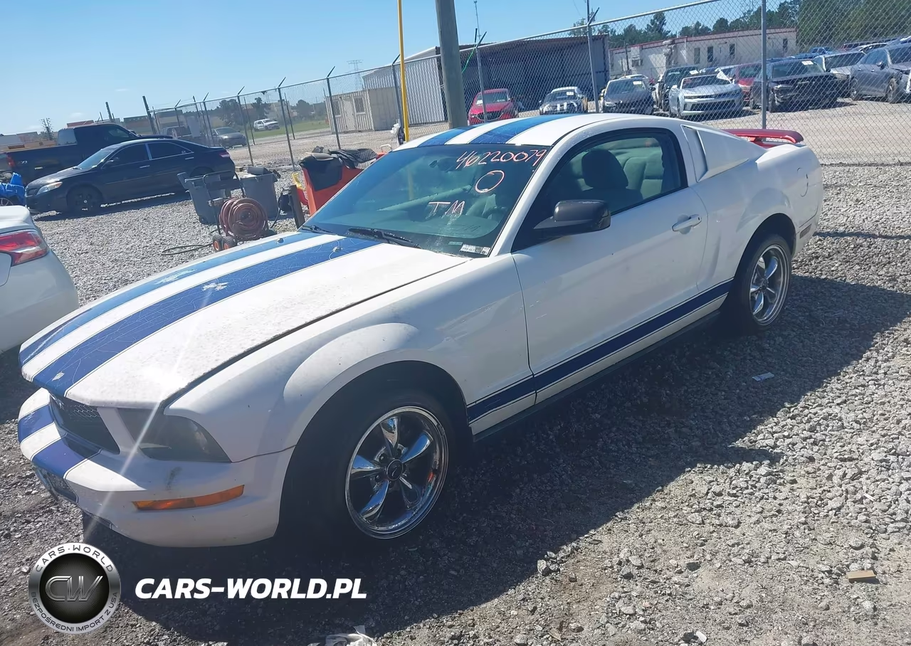2005 Ford Mustang V6 Deluxe-V6 Premium VIN:1ZVFT80N555137177 - 2