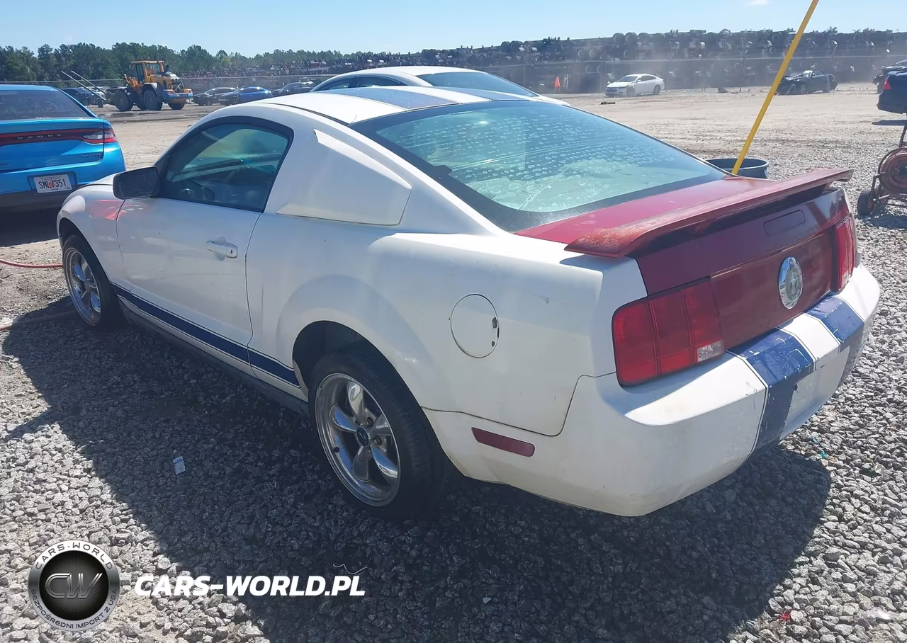 2005 Ford Mustang V6 Deluxe-V6 Premium VIN:1ZVFT80N555137177 - 3