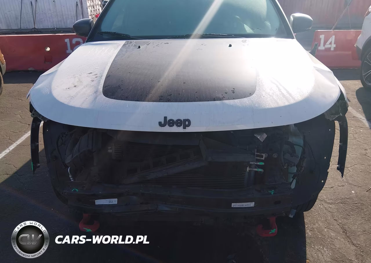 2019 Jeep Compass Trailhawk 4X4 VIN:3C4NJDDB0KT721785 - 6