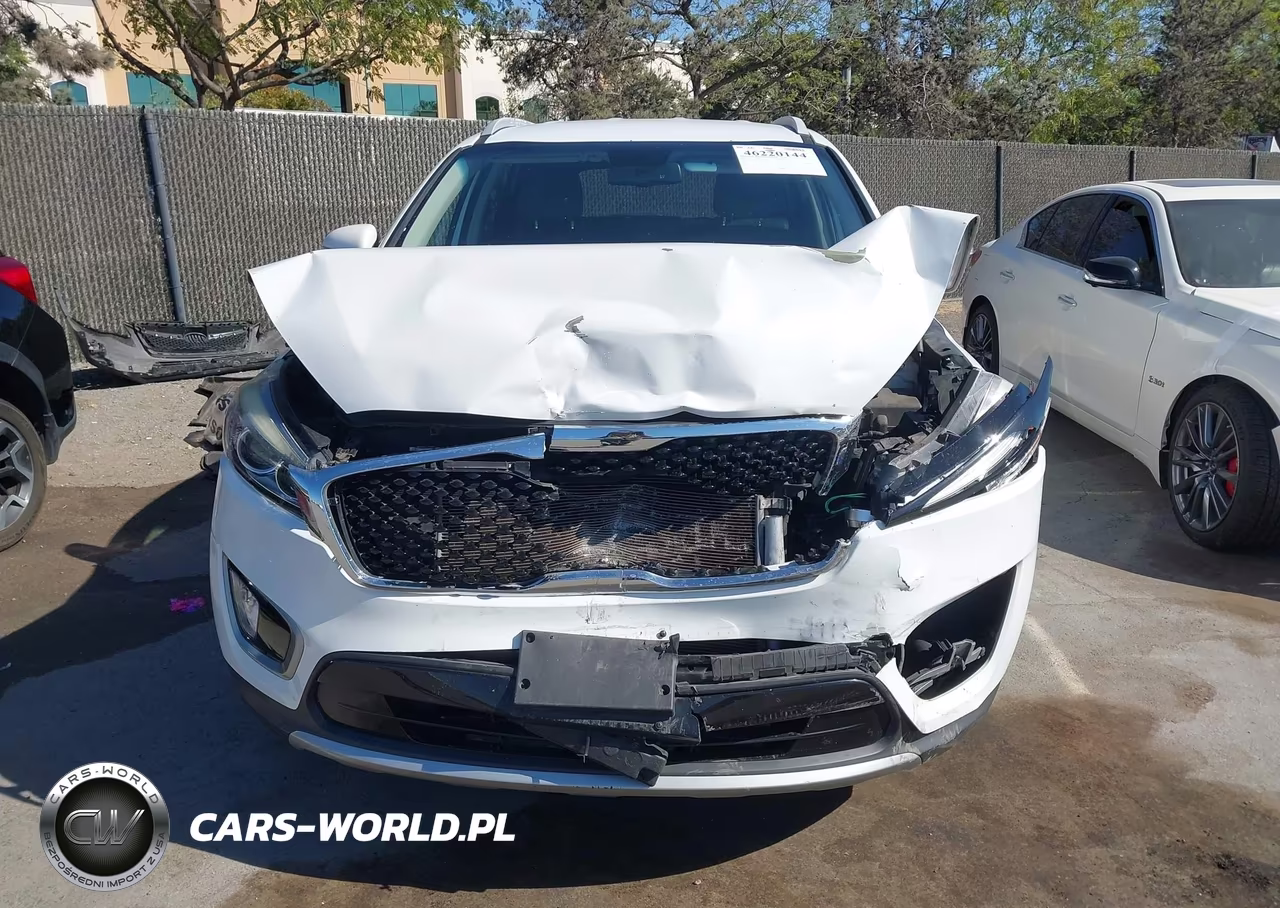 2017 Kia Sorento 3.3L Ex VIN:5XYPH4A50HG222374 - 12