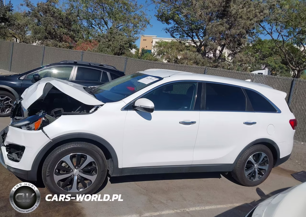 2017 Kia Sorento 3.3L Ex VIN:5XYPH4A50HG222374 - 14