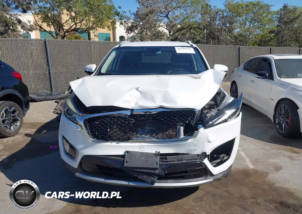 2017 Kia Sorento 3.3L Ex VIN:5XYPH4A50HG222374 - 6