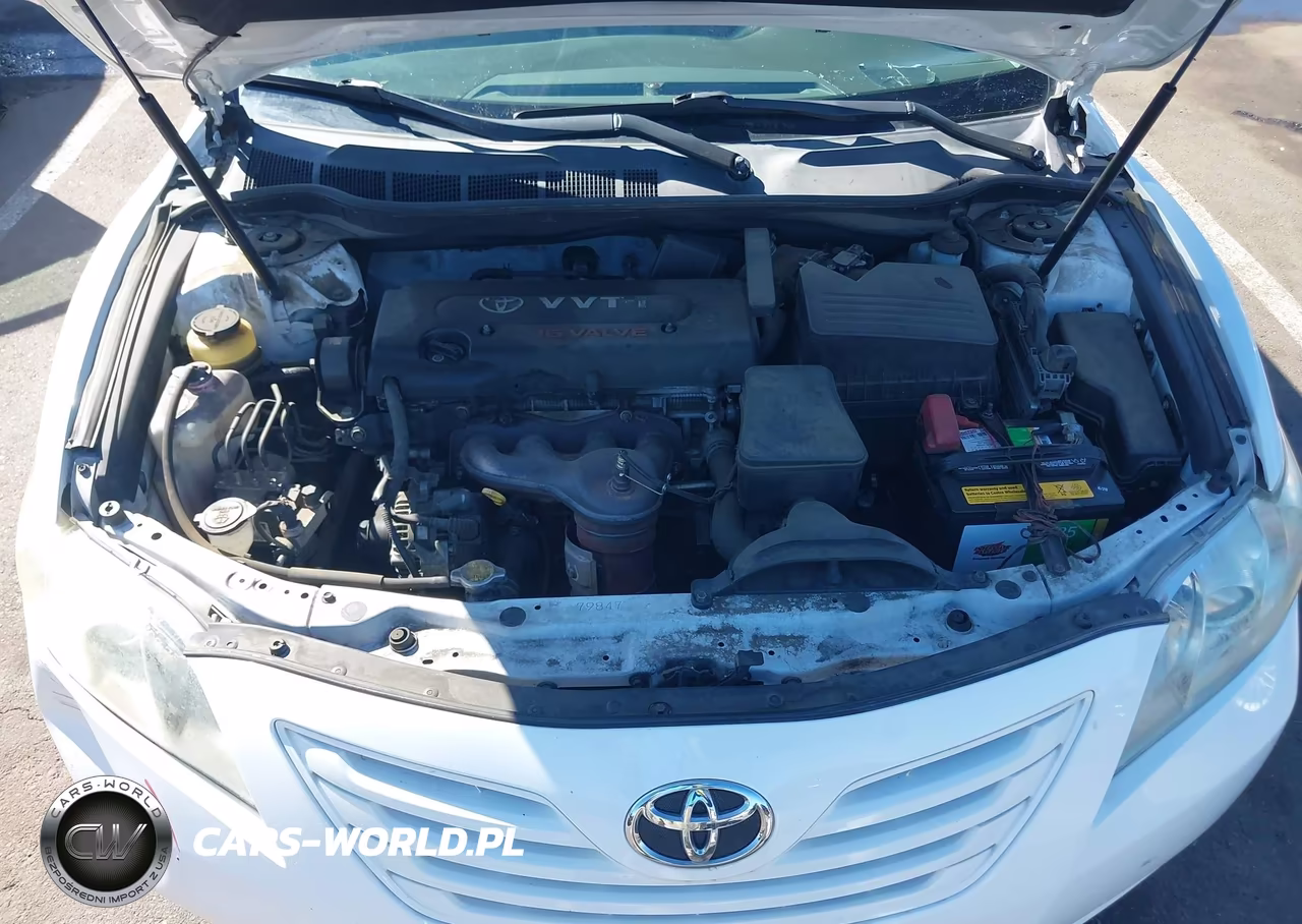 2009 Toyota Camry Le VIN:4T4BE46K49R080713 - 10