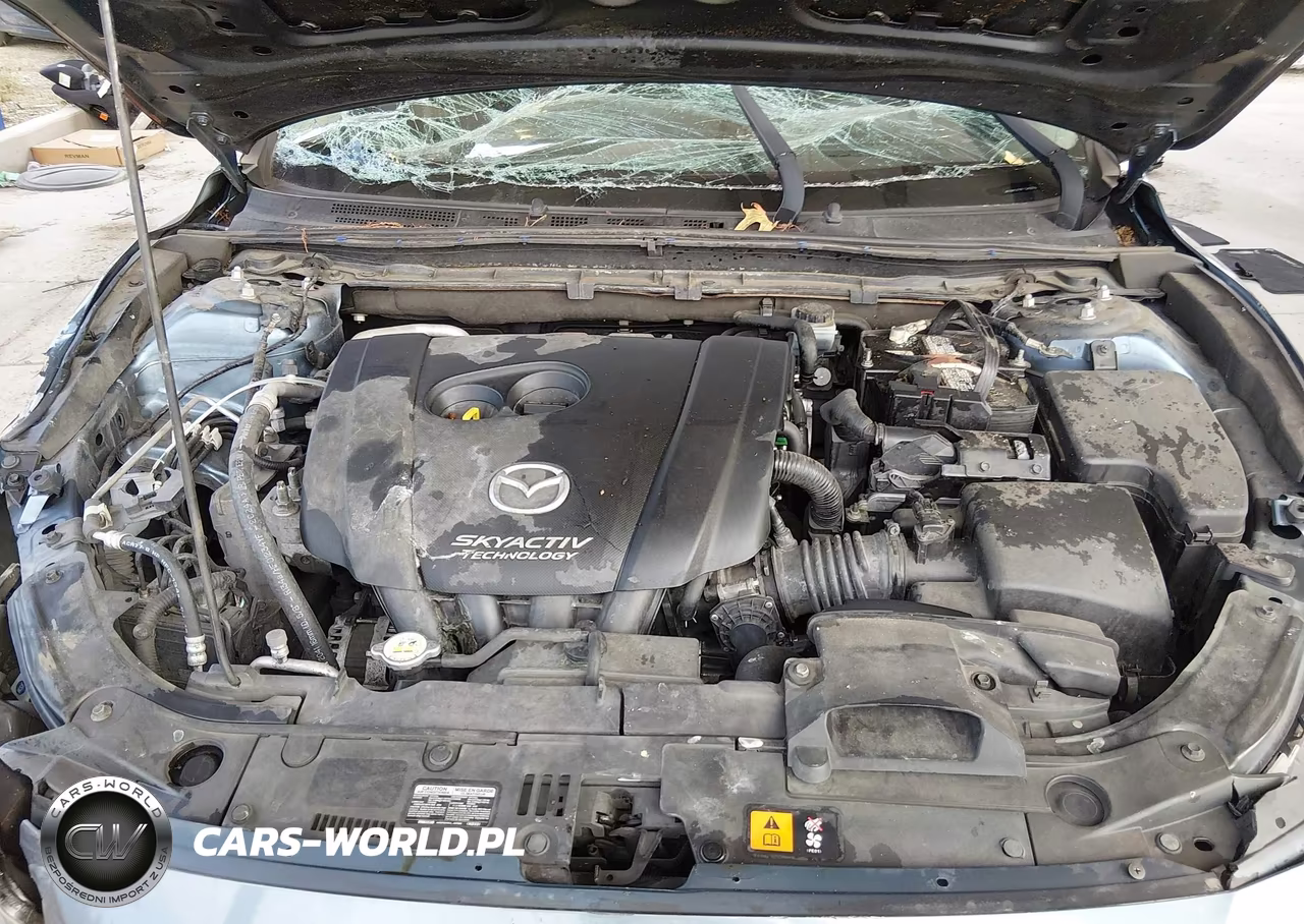 2015 Mazda Mazda3 I Touring VIN:JM1BM1V79F1245276 - 10