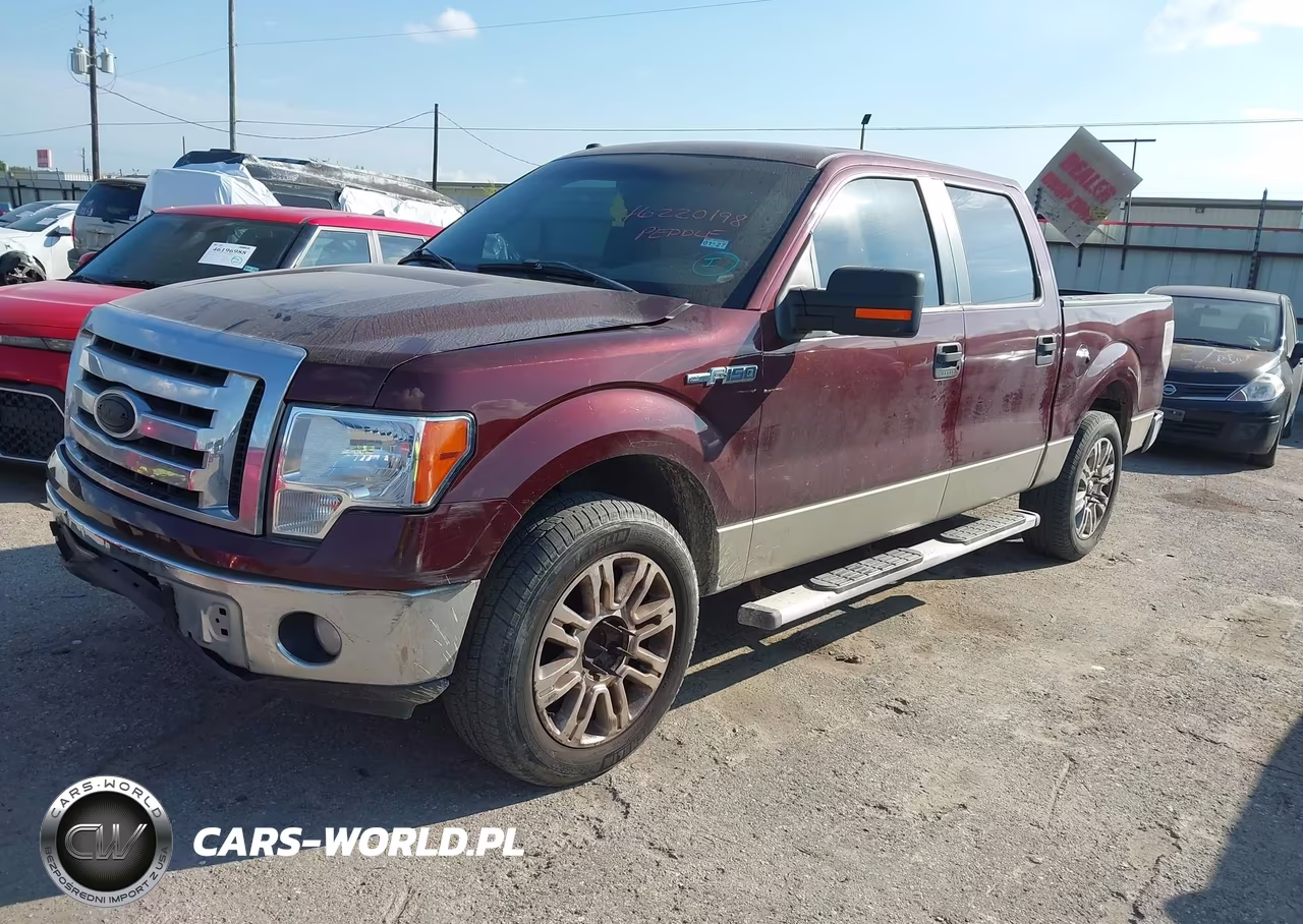 2009 Ford F-150 Xl-Xlt VIN:1FTRW128X9FA51613 - 2