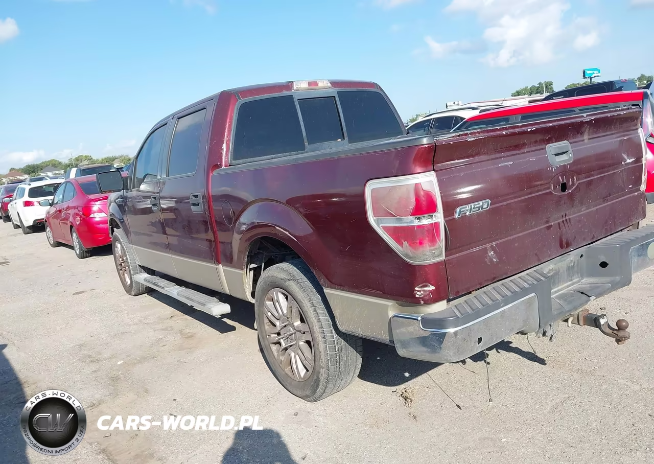 2009 Ford F-150 Xl-Xlt VIN:1FTRW128X9FA51613 - 3