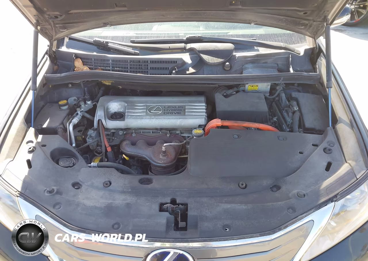 2010 Lexus Hs 250H VIN:JTHBB1BAXA2000994 - 10