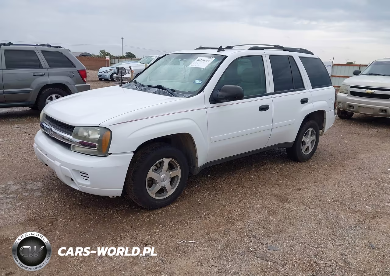 2006 Chevrolet Trailblazer Ls VIN:1GNDT13SX62236753 - 2