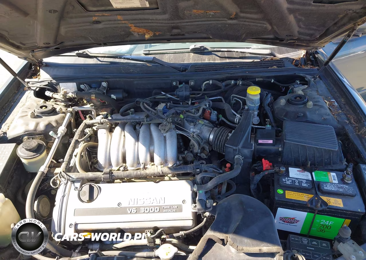 1999 Nissan Maxima Gle-Gxe-Se-Se-L VIN:JN1CA21A0XT703087 - 10
