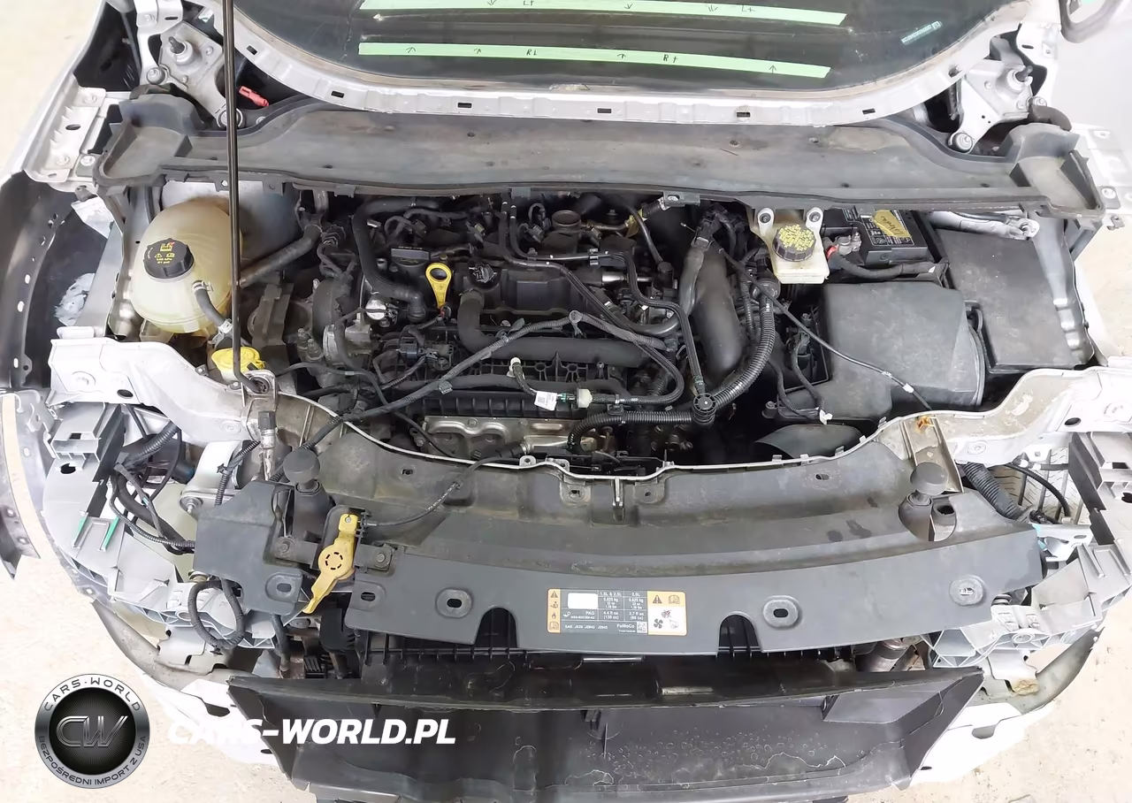 2019 Ford Escape Sel VIN:1FMCU9HD3KUA69687 - 10