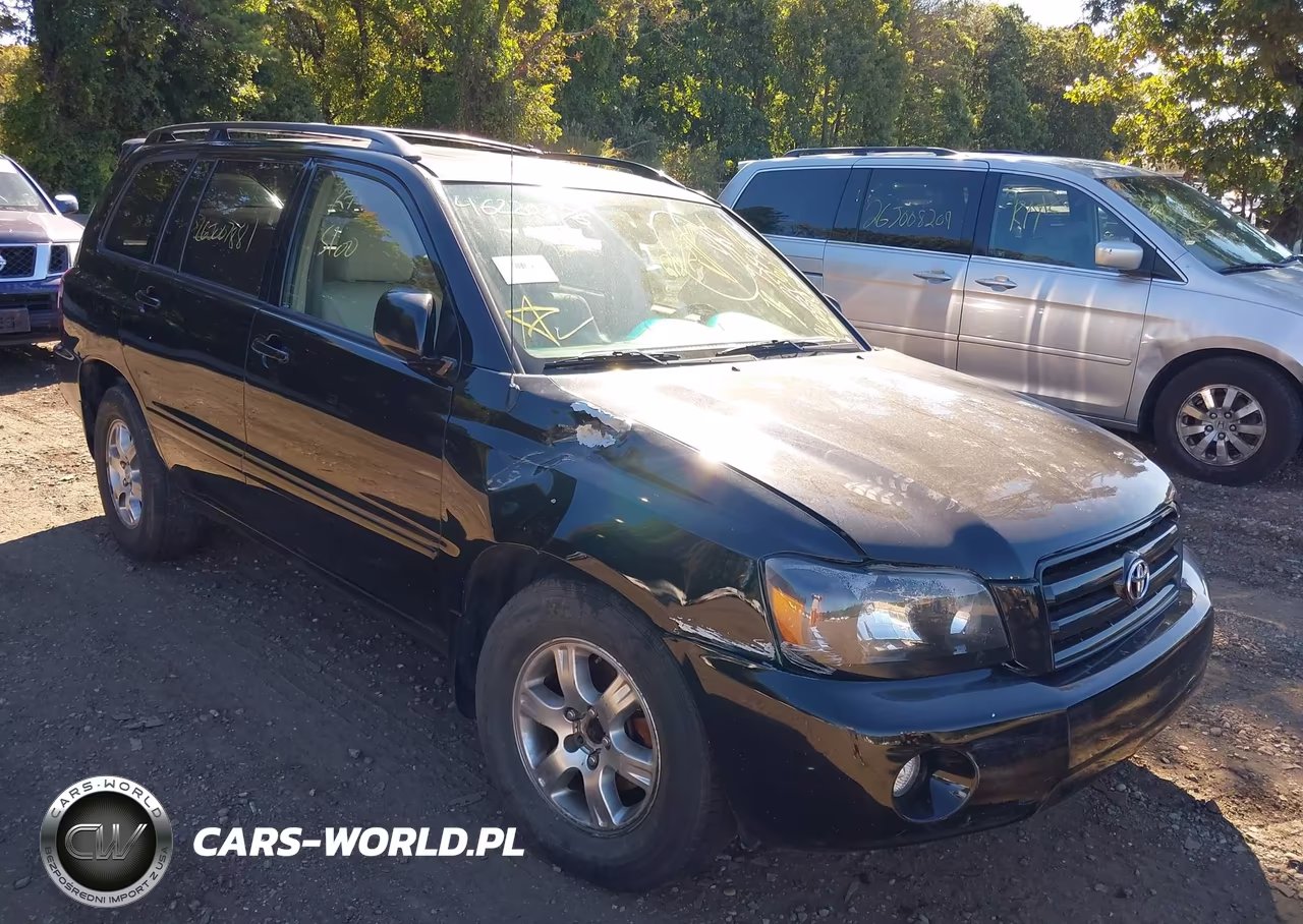 2004 Toyota Highlander V6 VIN:JTEEP21A640029542 - 6