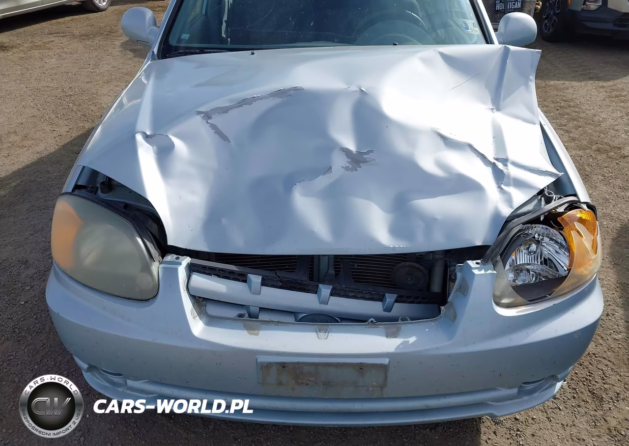 2004 Hyundai Accent Gl VIN:KMHCG45C54U499827 - 6