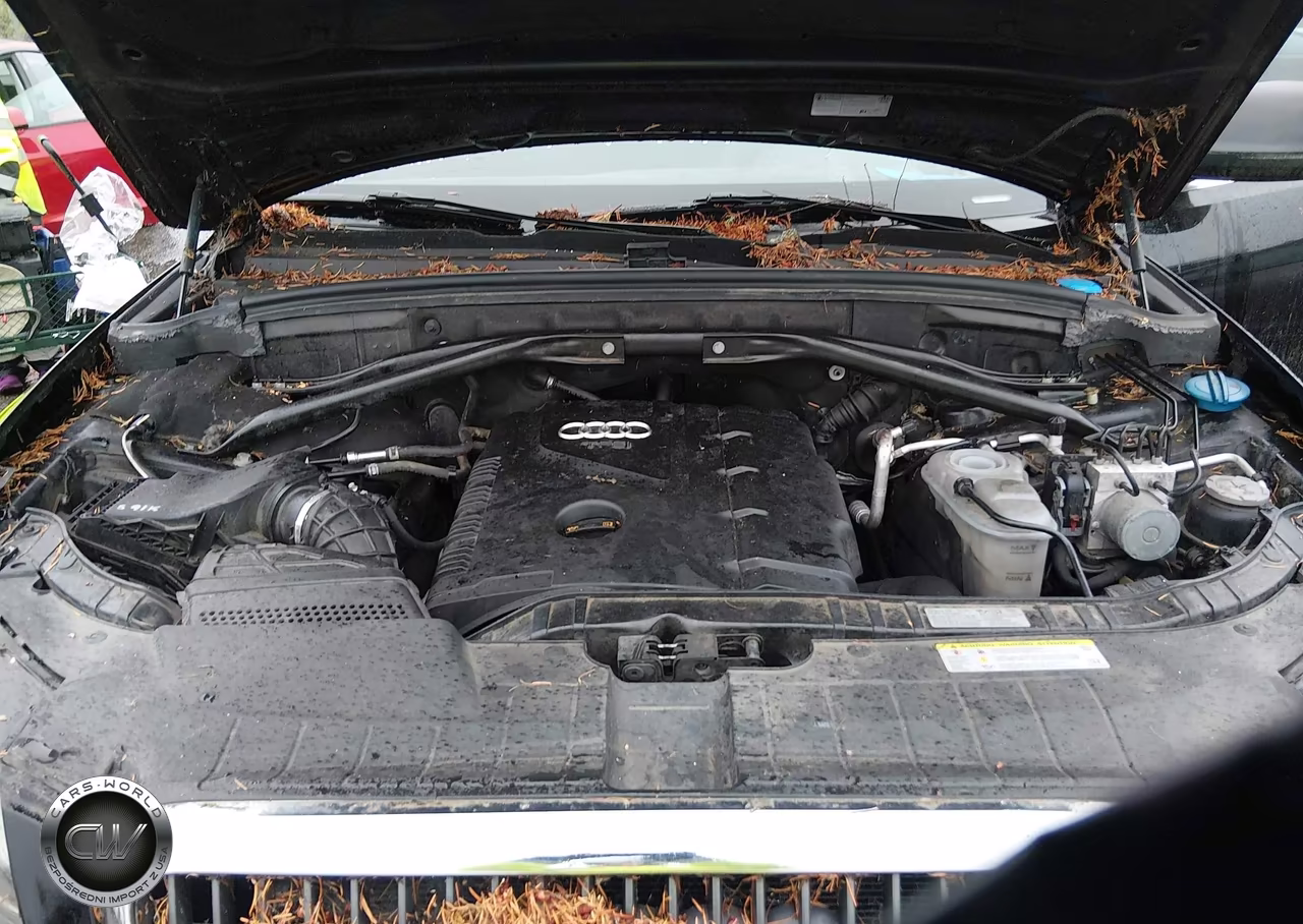 2011 Audi Q5 2.0T Premium VIN:WA1CFAFP7BA087490 - 10