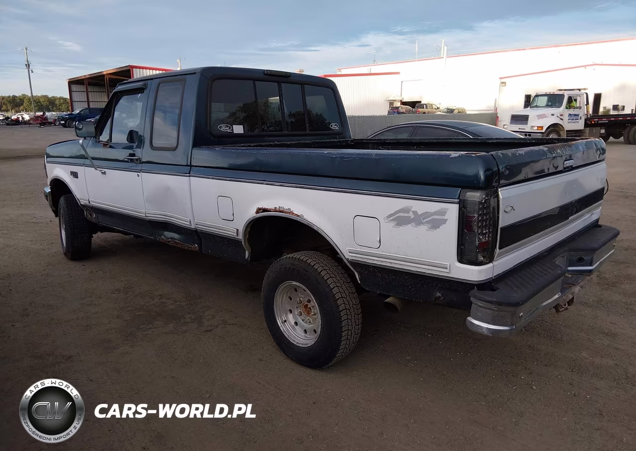 1995 Ford F150 VIN:1FTEX14H1SKA24290 - 3