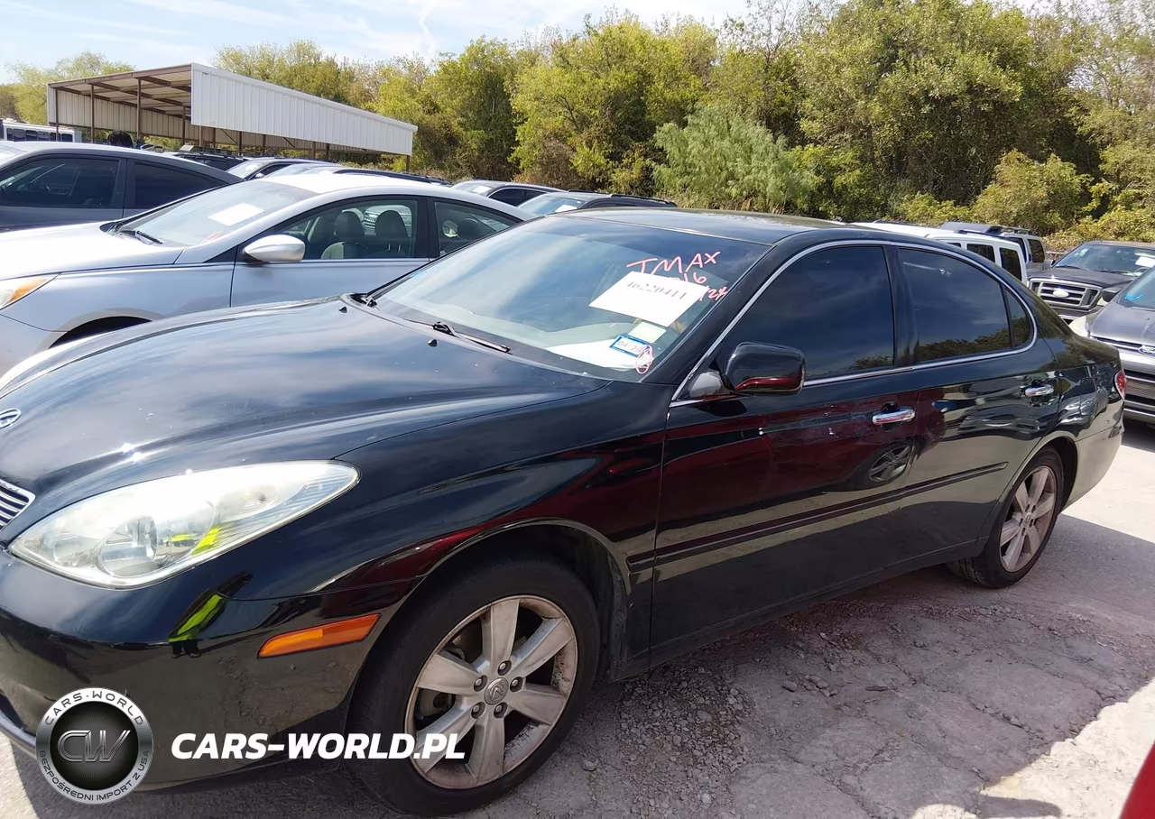 2005 Lexus Es 330 VIN:JTHBA30G455129016 - 14