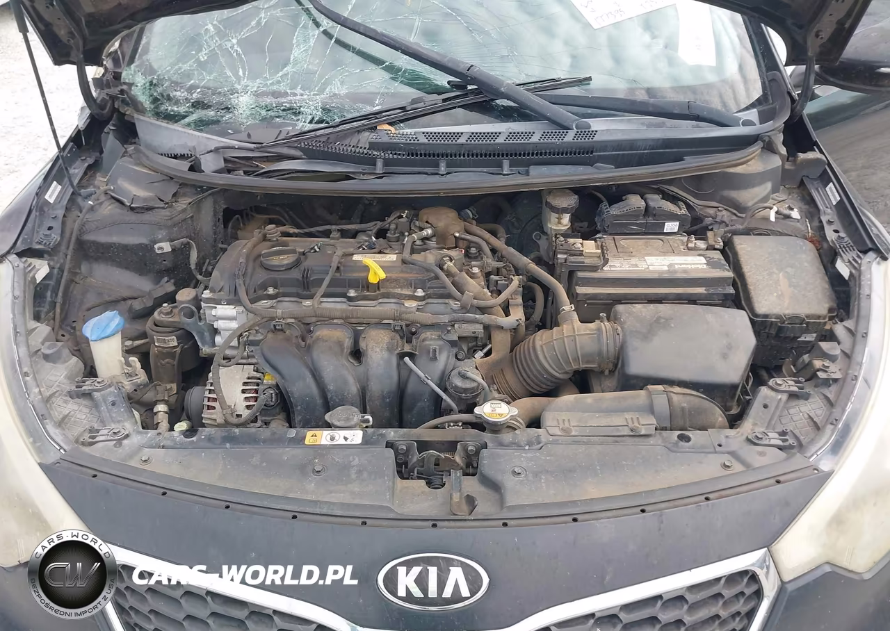 2015 Kia Forte Ex VIN:KNAFX4A83F5357070 - 10