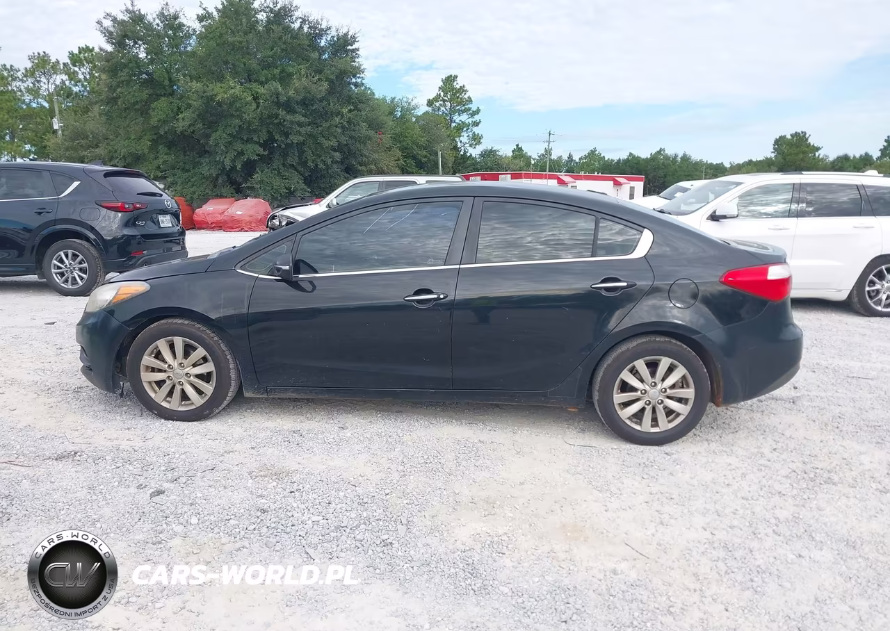 2015 Kia Forte Ex VIN:KNAFX4A83F5357070 - 14