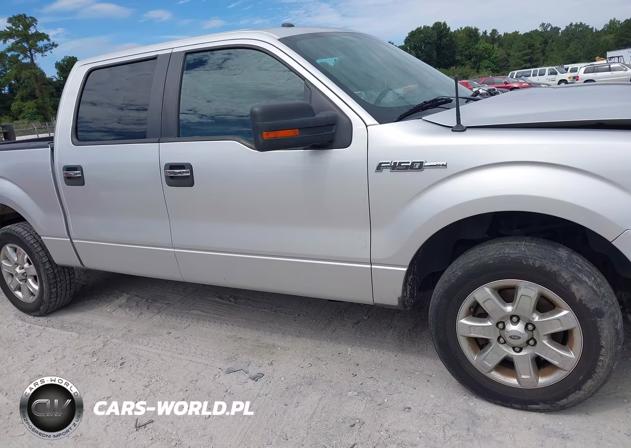 2013 Ford F-150 Xlt VIN:1FTFW1CF6DFC16551 - 13