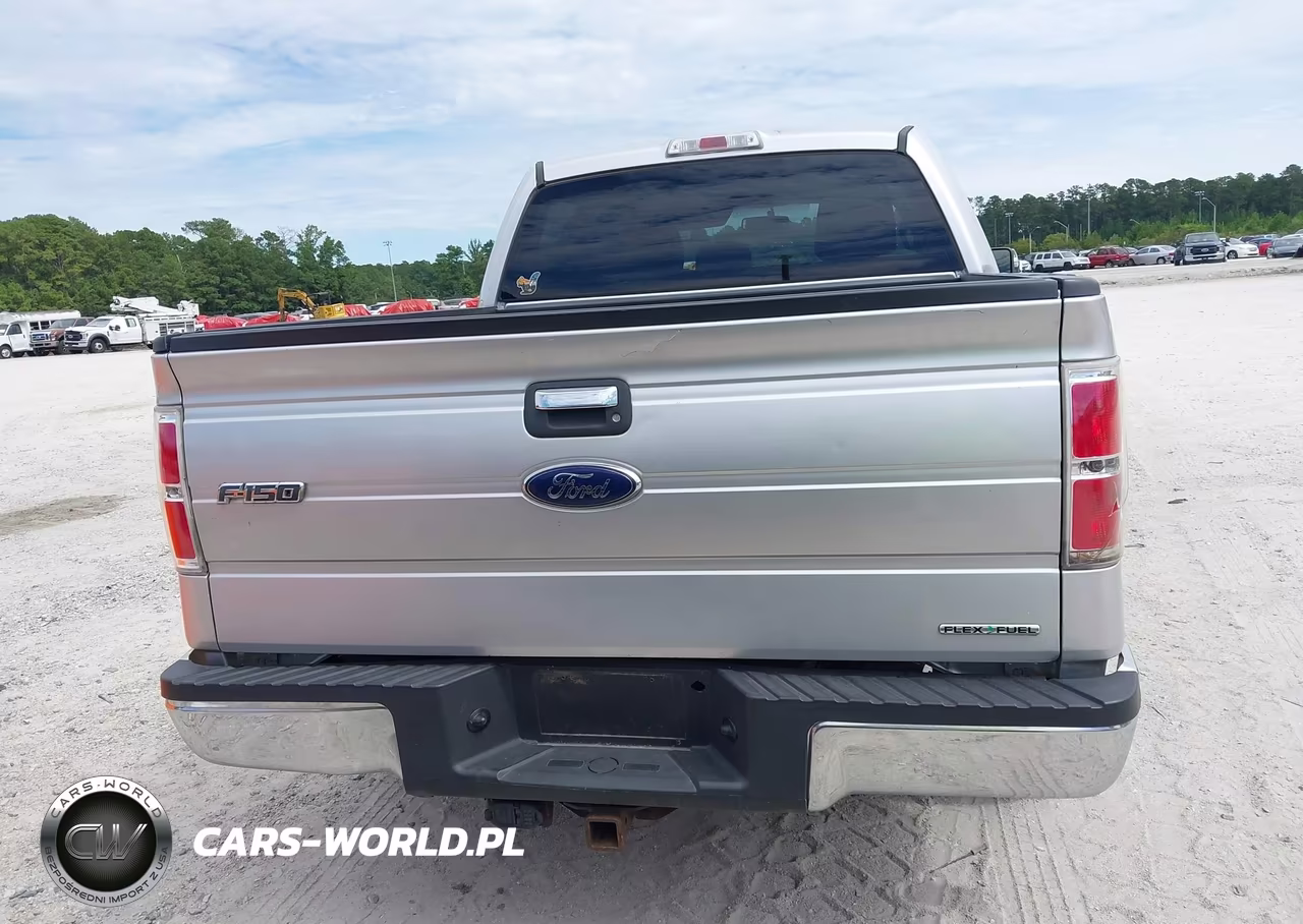 2013 Ford F-150 Xlt VIN:1FTFW1CF6DFC16551 - 16