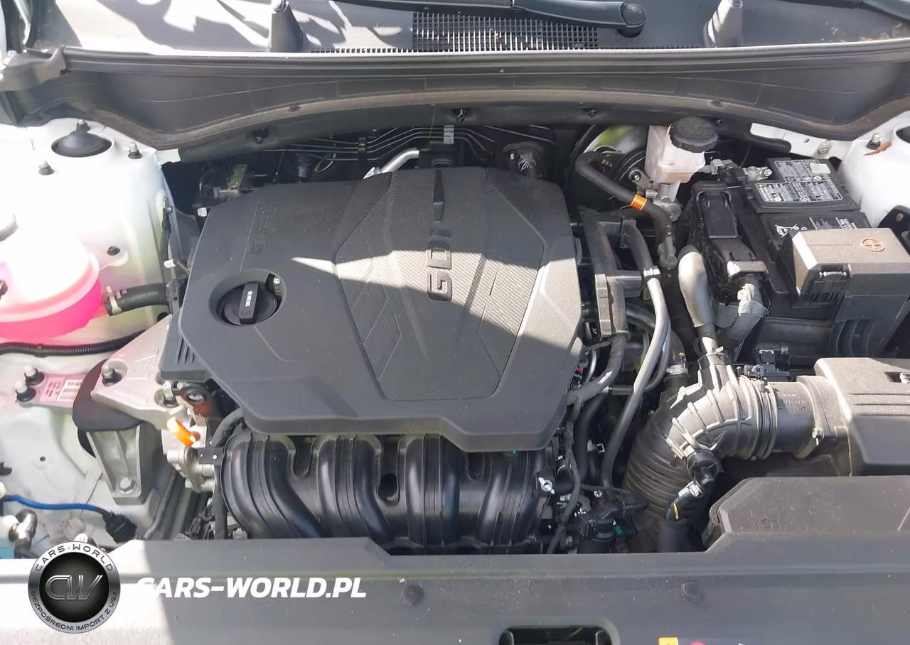 2023 Kia Sportage Ex VIN:5XYK33AF0PG138615 - 10