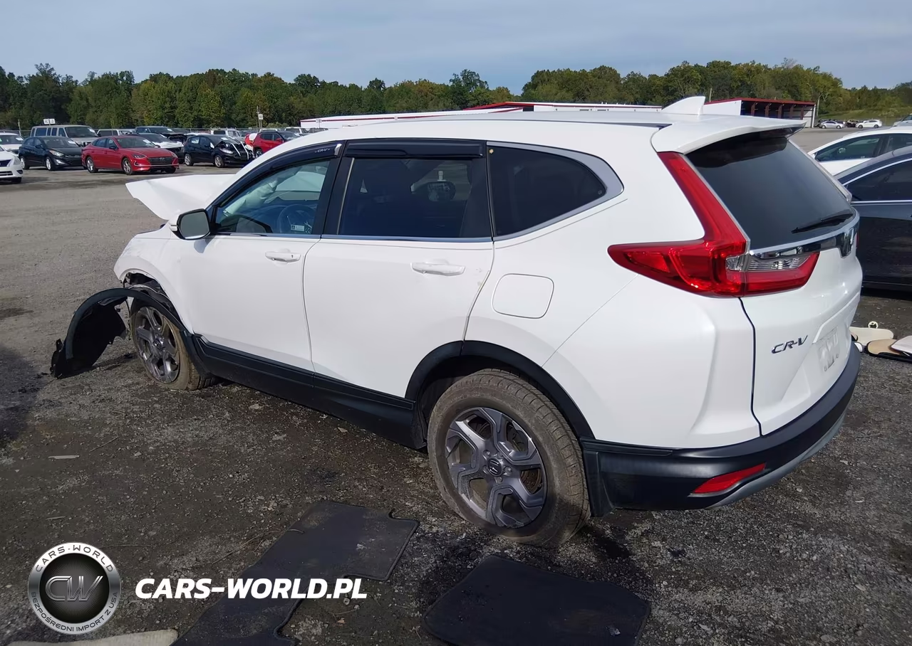 2019 Honda Cr-V Ex VIN:7FARW2H57KE061792 - 3