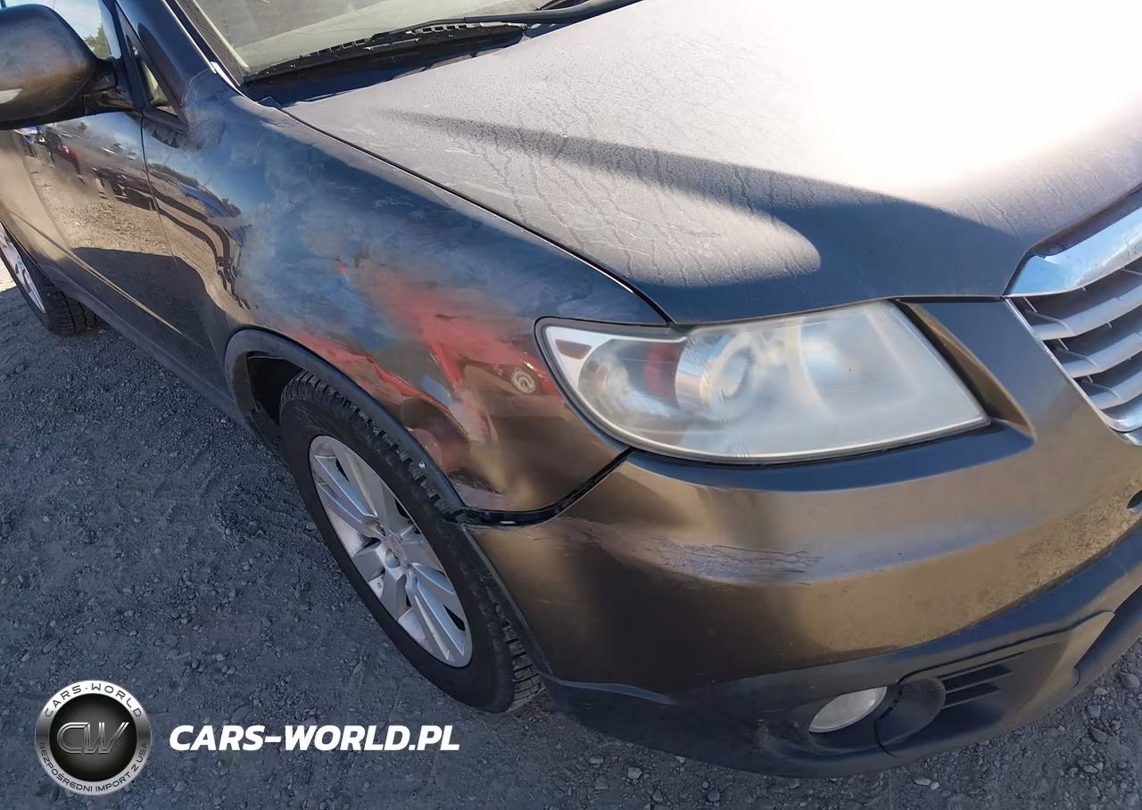 2008 Subaru Tribeca Limited 7-Passenger VIN:4S4WX97D684400549 - 6